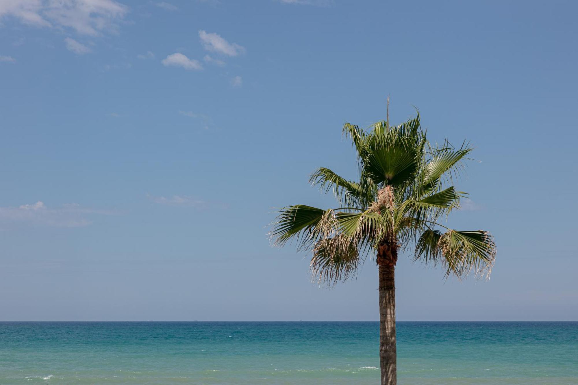 King'S Rooms Termoli Dış mekan fotoğraf
